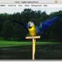 Freeware - AV Digital Talking Parrot 1.0.23 screenshot